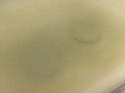 �I�[�o�[�z�[�� �J�b�g���[�Y 13